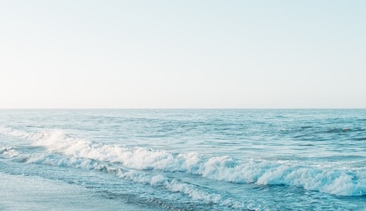 Главные новости маркетплейса Нова вся информация здесь